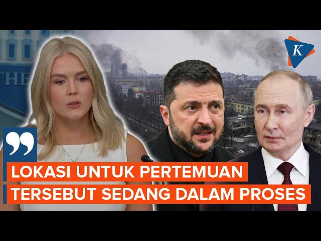 Pertemuan Putin-Zelensky Mulai Dirancang, Lokasi Masih Rahasia
