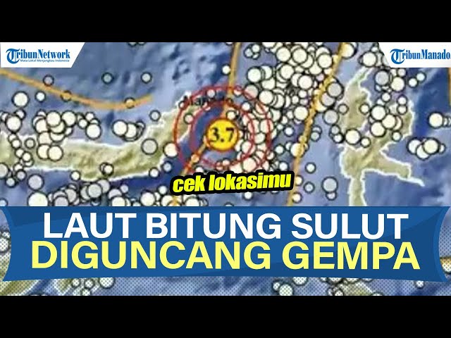 Info BMKG Gempa Guncang Sulut Hari Ini Minggu 24 Agustus 2025, Berpusat di Laut Bitung