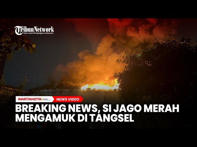 BREAKING NEWS, Si Jago Merah Mengamuk di Kantor Rajawali Parama Konstruksi Tangsel