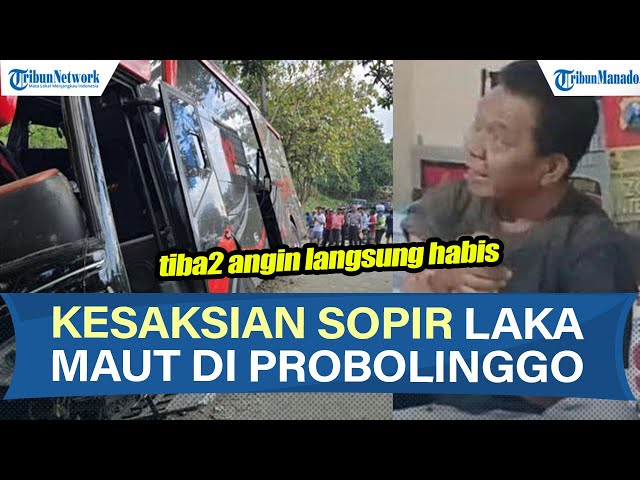 Cerita Sopir Bus Kecelakaan Maut di Probolinggo: Tiba-Tiba Rem Hilang