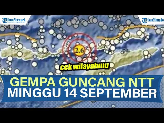 NTT Diguncang Gempa Hari Ini Minggu 14 September 2025, Info BMKG Berpusat di Lembata