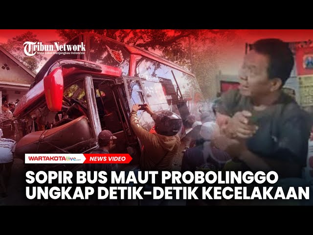 Sopir Bus Maut Probolinggo Ungkap Detik-detik Kecelakaan yang Tewaskan 8 Penumpang