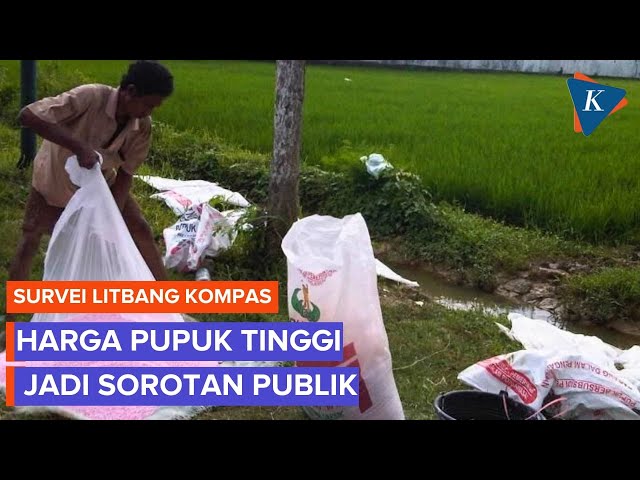 Pupuk Masih Mahal, Litbang Kompas: Publik Harap Pemerintah Turunkan Harganya