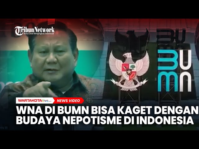 WNA di BUMN Bisa Kaget dengan Budaya Nepotisme di Perusahaan Negara