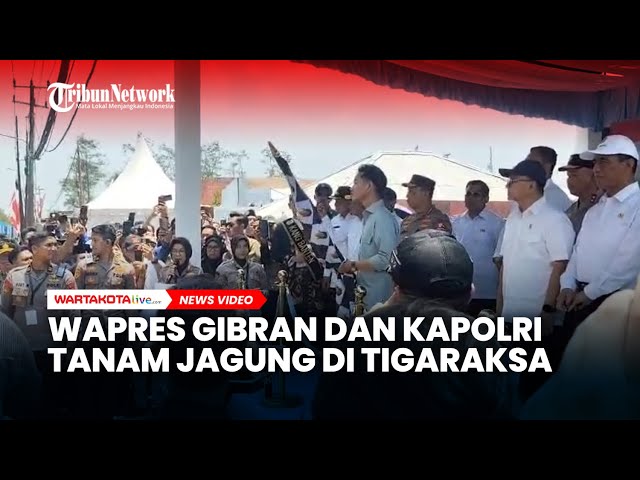 Wapres Gibran dan Kapolri Tanam Jagung di Tigaraksa, Disambut Ribuan Warga dan Gapoktan