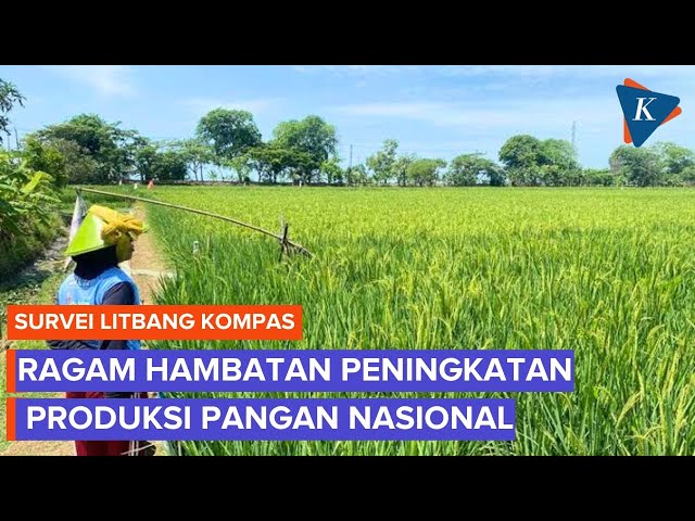 Produksi Pangan Nasional Dibayangi Krisis Iklim dan Lambatnya Distribusi Pupuk