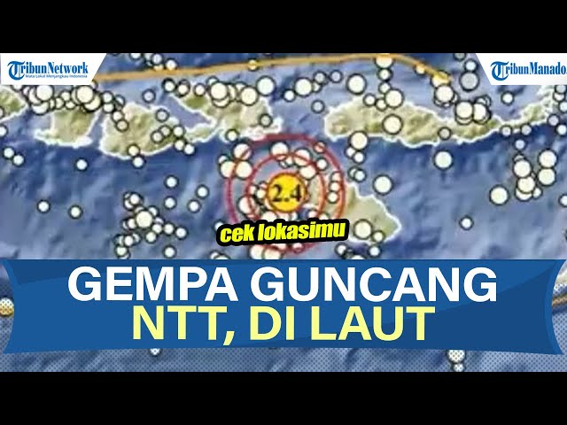 INFO BMKG Gempa Hari Ini Senin 13 Oktober 2025, Berpusat di Laut NTT
