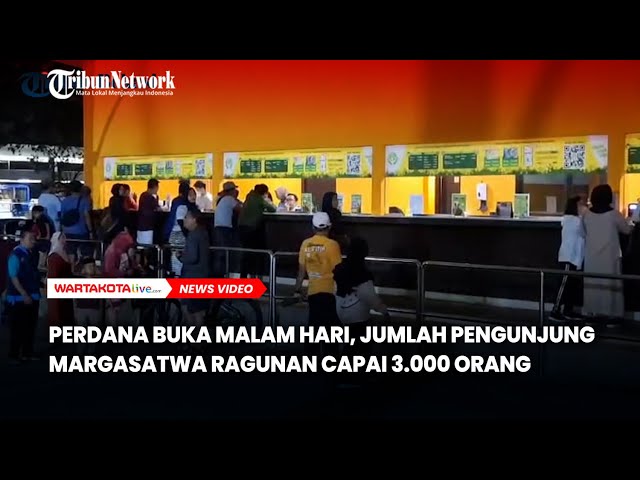 Baru Perdana Buka Malam Hari, Jumlah Pengunjung Margasatwa Ragunan Capai 3 000 Orang