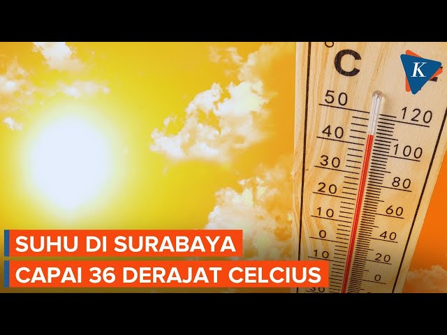 Suhu di Surabaya 36 Derajat Terasa Menyengat Seperti 41 Derajat, Apa Penyebabnya?