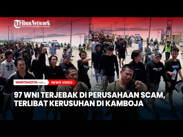 97 WNI Terjebak di Perusahaan Scam, Terlibat Kerusuhan di Kamboja