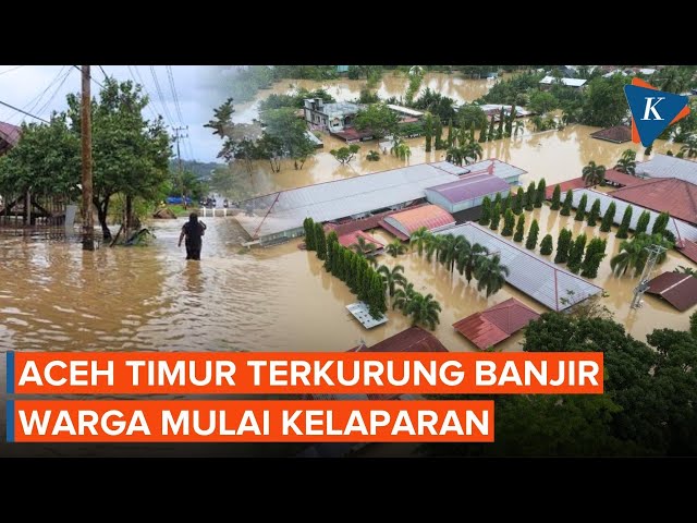 Korban Banjir Aceh Timur “Menjerit”, Mulai Kelaparan dan Terkurung