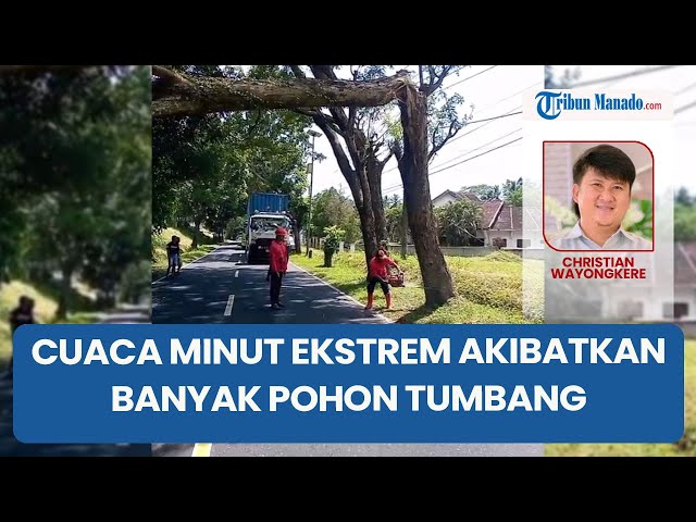 BPBD Minut Ingatkan Cuaca Ekstrem, 14 Pohon Tumbang dalam 3 Bulan & Sejumlah Ruas Jalan Rawan Longso