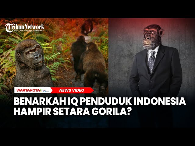 Diungkap Dokter Saraf, Benarkah IQ Penduduk Indonesia Hampir Setara Gorila?