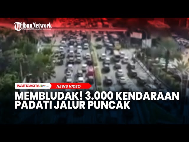 Membludak! 3 000 Kendaraan Padati Jalur Puncak, Polisi Terapkan One Way