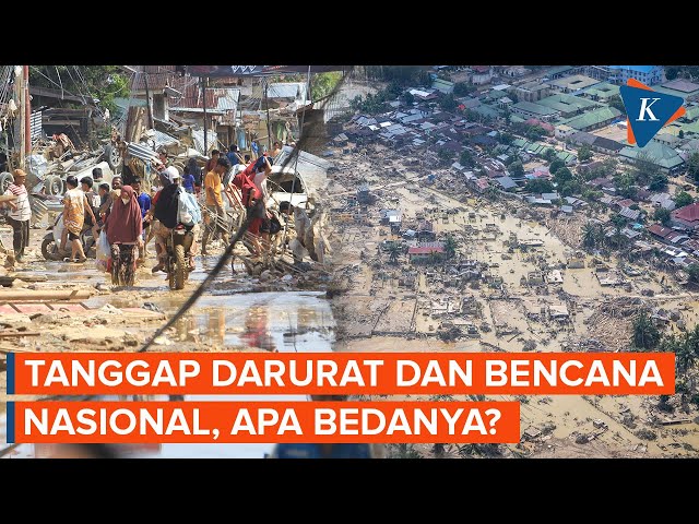 Apa Bedanya Status Tanggap Darurat dan Bencana Nasional?