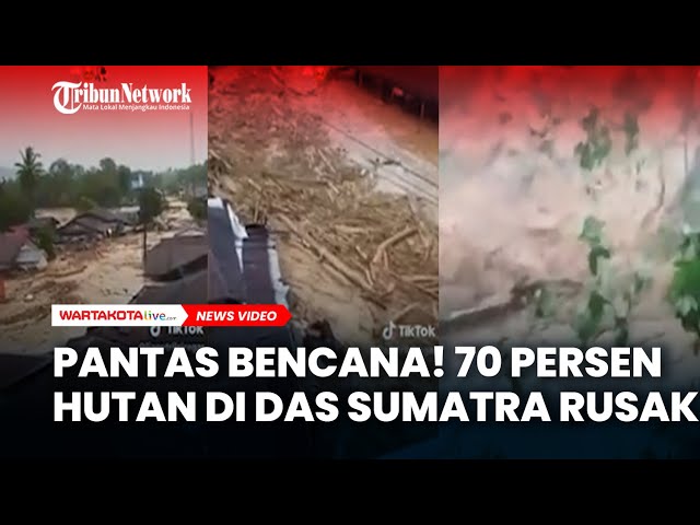 Pantas Bencana! 70 Persen Hutan di DAS Sumatra Rusak