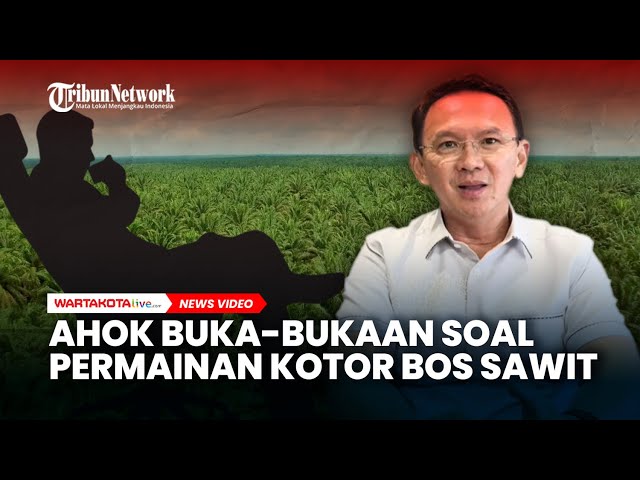 Ahok Buka-bukaan Soal Permainan Kotor Bos Sawit