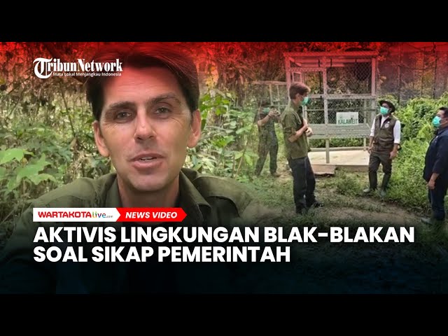 Aktivis Lingkungan Blak-blakan Soal Sikap Pemerintah ke NGO Pemerhati Lingkungan