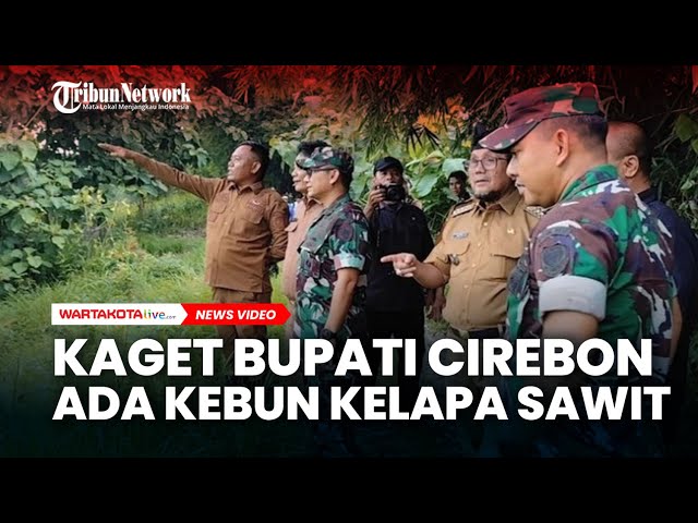 Bupati Cirebon: Kebun Sawit di Bukit Cigobang Tidak Berizin