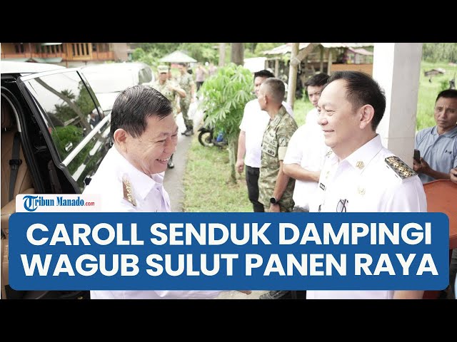 Wali Kota Tomohon Caroll Senduk Dampingi Wagub Sulut Victor Mailangkay Panen Raya di Taratara