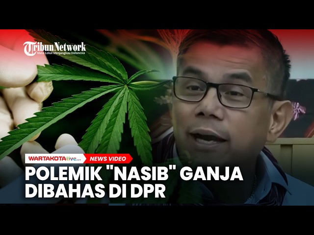 Polemik “Nasib” Ganja untuk Medis Dibahas di DPR